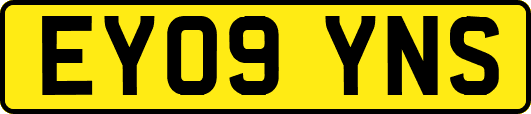 EY09YNS