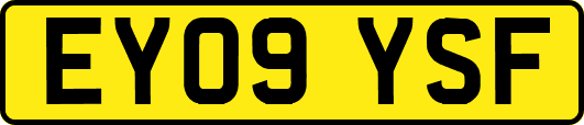 EY09YSF