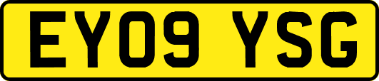 EY09YSG