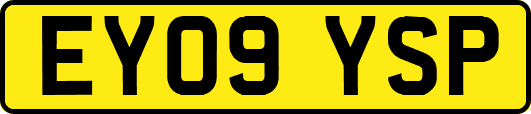 EY09YSP