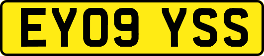 EY09YSS