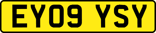 EY09YSY