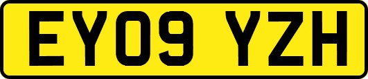 EY09YZH