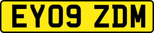 EY09ZDM