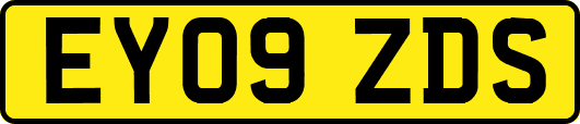 EY09ZDS