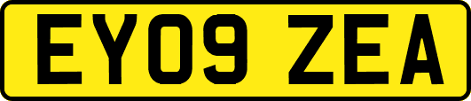 EY09ZEA