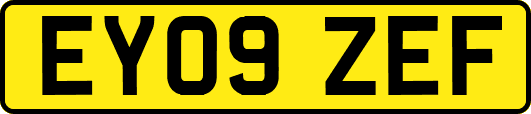 EY09ZEF