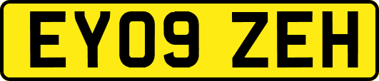 EY09ZEH
