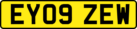 EY09ZEW