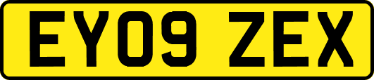 EY09ZEX