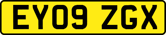 EY09ZGX