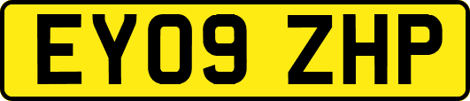 EY09ZHP