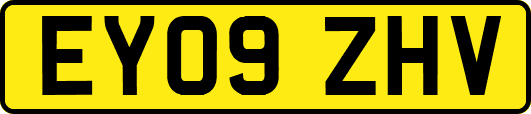 EY09ZHV