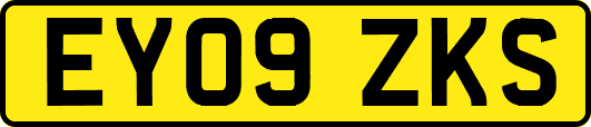 EY09ZKS