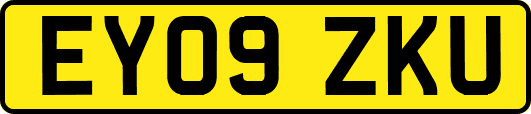 EY09ZKU