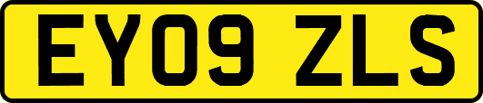 EY09ZLS