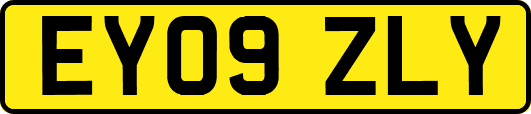 EY09ZLY