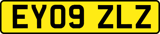 EY09ZLZ