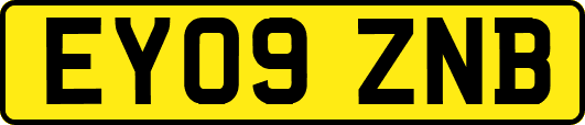 EY09ZNB