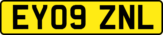EY09ZNL