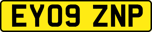 EY09ZNP