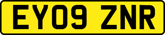EY09ZNR