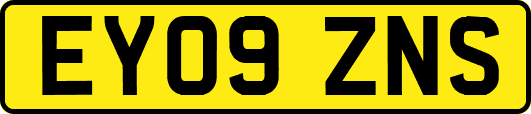 EY09ZNS