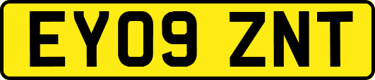 EY09ZNT