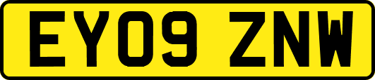 EY09ZNW