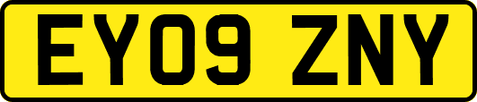EY09ZNY