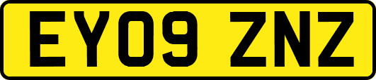 EY09ZNZ