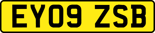 EY09ZSB