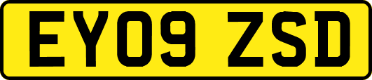 EY09ZSD