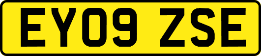 EY09ZSE