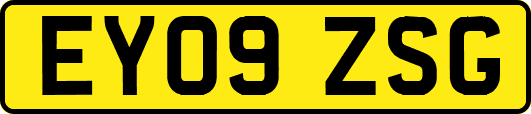 EY09ZSG