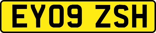 EY09ZSH