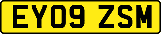 EY09ZSM