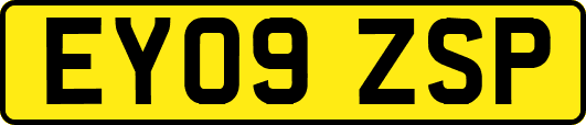 EY09ZSP