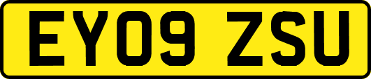 EY09ZSU