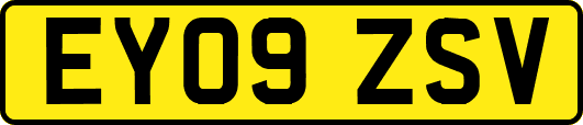 EY09ZSV