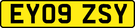 EY09ZSY