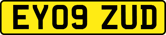 EY09ZUD