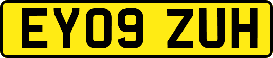 EY09ZUH