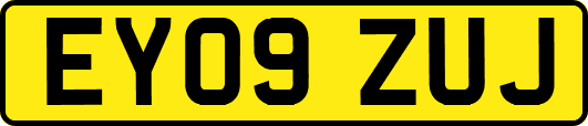 EY09ZUJ