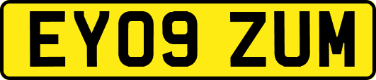 EY09ZUM