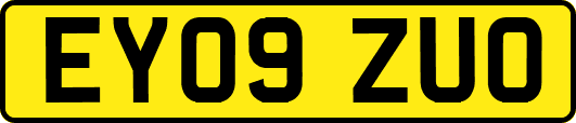 EY09ZUO