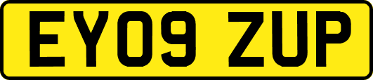 EY09ZUP