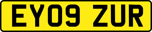 EY09ZUR