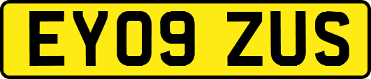 EY09ZUS