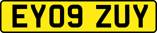 EY09ZUY